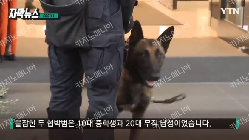 업로드된 이미지
