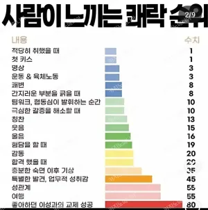 쾌락 순위라는 데 이거 맞어?